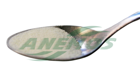 Chios Mastic Powder spoon 1gr dosage